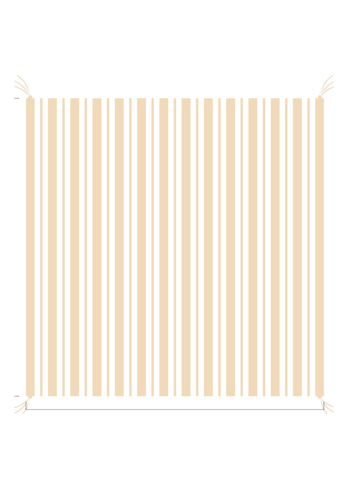 3D Stripe w/ Tassels- Receiving