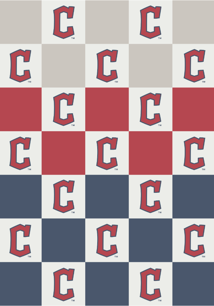 MLB Buttery Blanket- Ombre Check