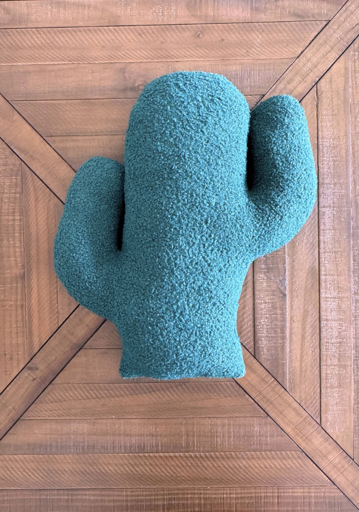 Cacti 3D Pillow