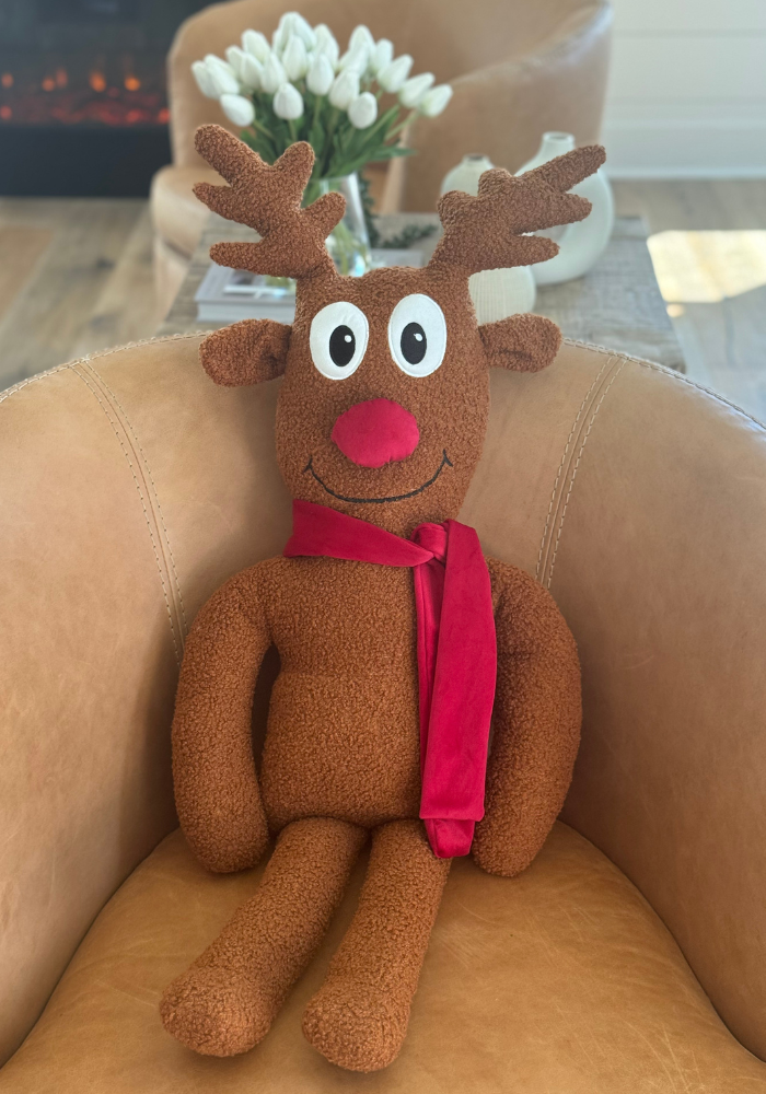 Rudy 3D Pillow- Pre Order Nov 30th