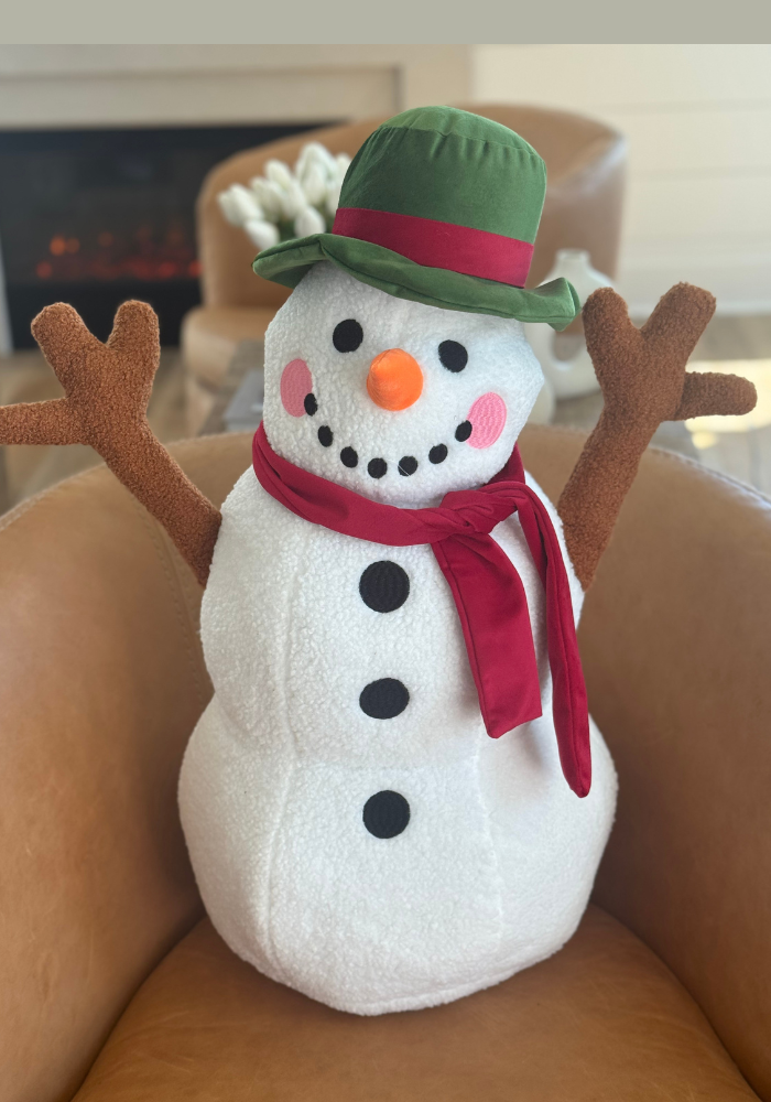 Frosty 3D Pillow- Pre Order Nov 30th