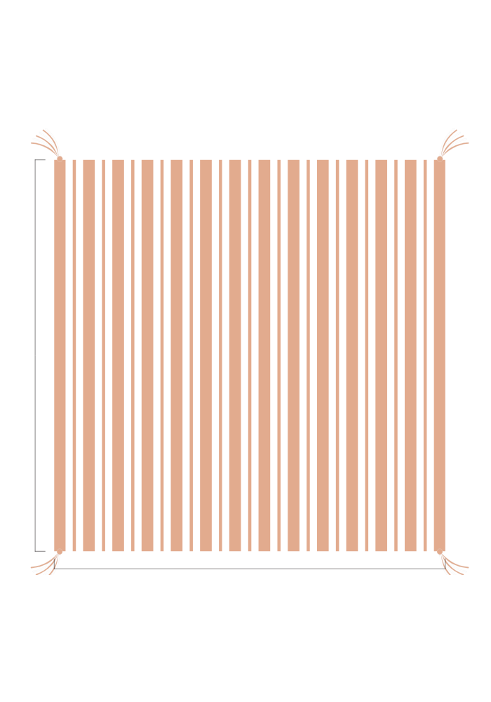 3D Stripe w/ Tassels- Receiving