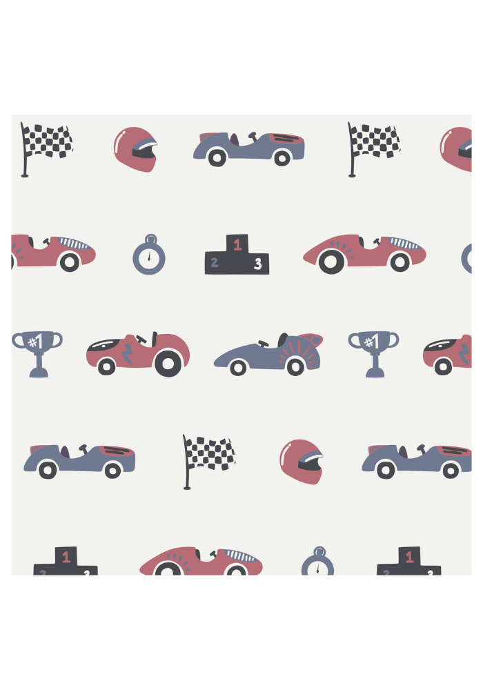 Racing Cars Buttery Blanket-Pre Order Nov 14th