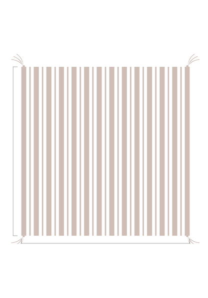 3D Stripe w/ Tassels- Receiving