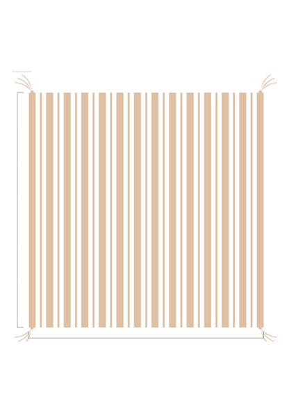 3D Stripe w/ Tassels- Receiving