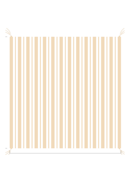 3D Stripe w/ Tassels- Receiving