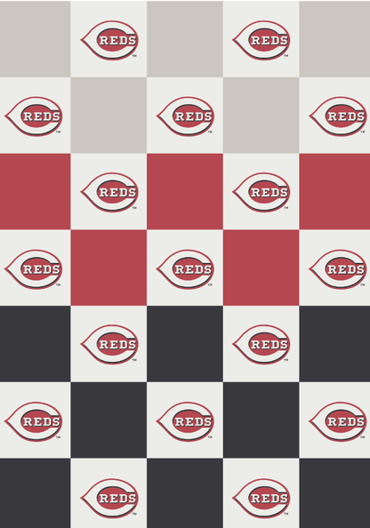MLB Buttery Blanket- Ombre Check