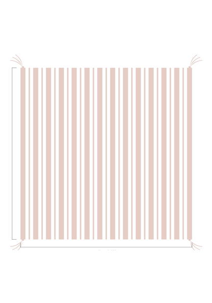 3D Stripe w/ Tassels- Receiving