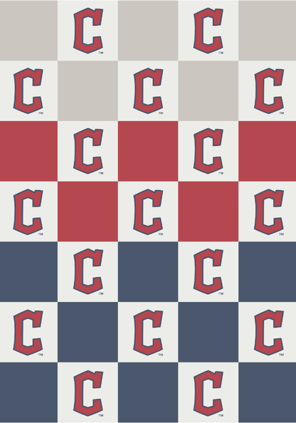 MLB Buttery Blanket- Ombre Check