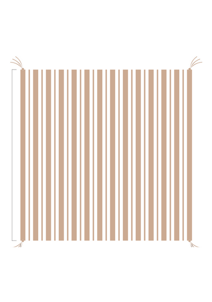 3D Stripe w/ Tassels- Receiving