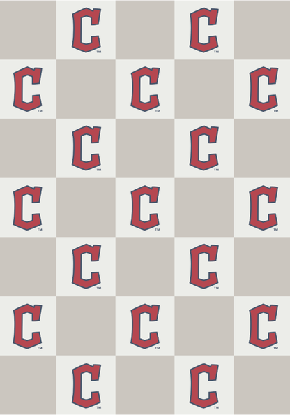 MLB Buttery Blanket- Neutral Check