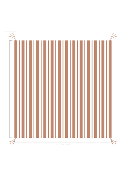 3D Stripe w/ Tassels- Receiving