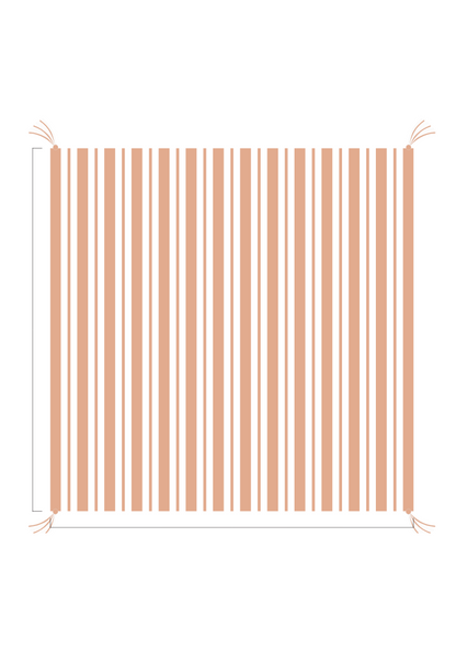 3D Stripe w/ Tassels- Receiving