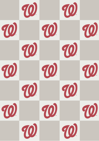 MLB Buttery Blanket- Neutral Check- All 30 Teams Offered!