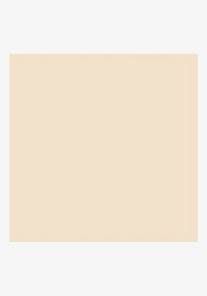 Dreamy Ribbed Buttery Blanket- Receiving