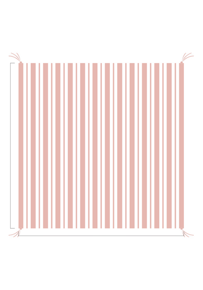 3D Stripe w/ Tassels- Receiving