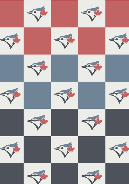 MLB Buttery Blanket- Ombre Check