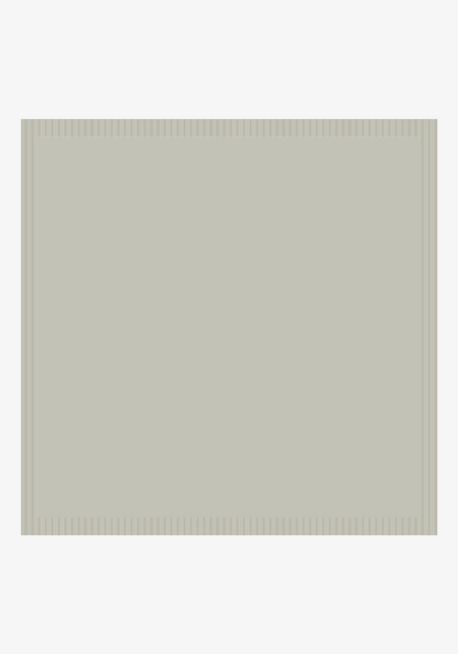 Dreamy Ribbed Buttery Blanket- Receiving