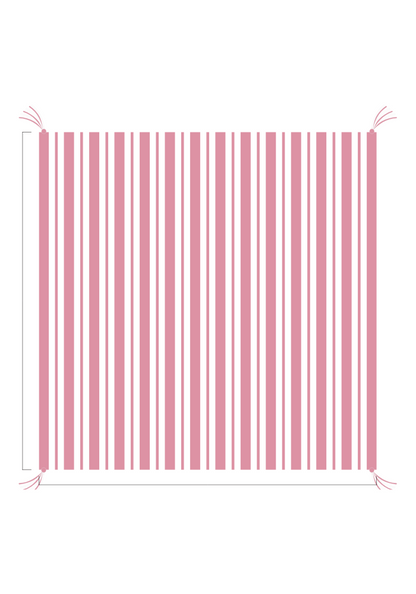 3D Stripe w/ Tassels- Receiving